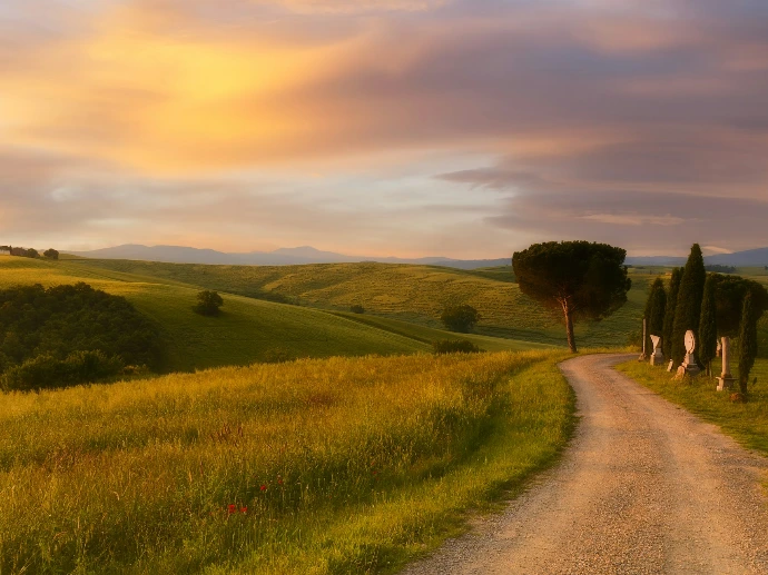 a dirt road in a field