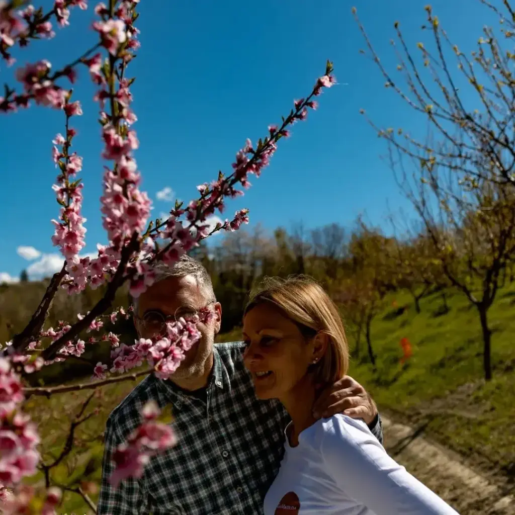 [COMPALBIC-314] Composta ambachtelijke confituur 314g (meerdere smaken) (Abrikoos)