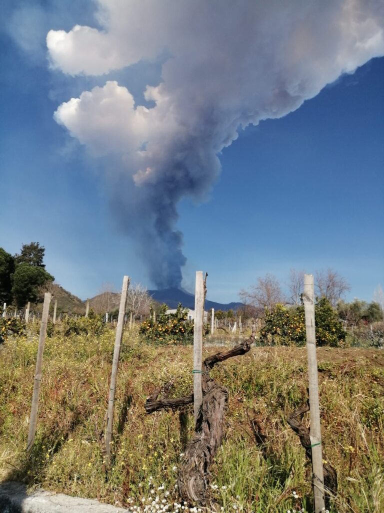 Terra Costantino wijnstokken wijngaard met uitbarstende rokende Etna
