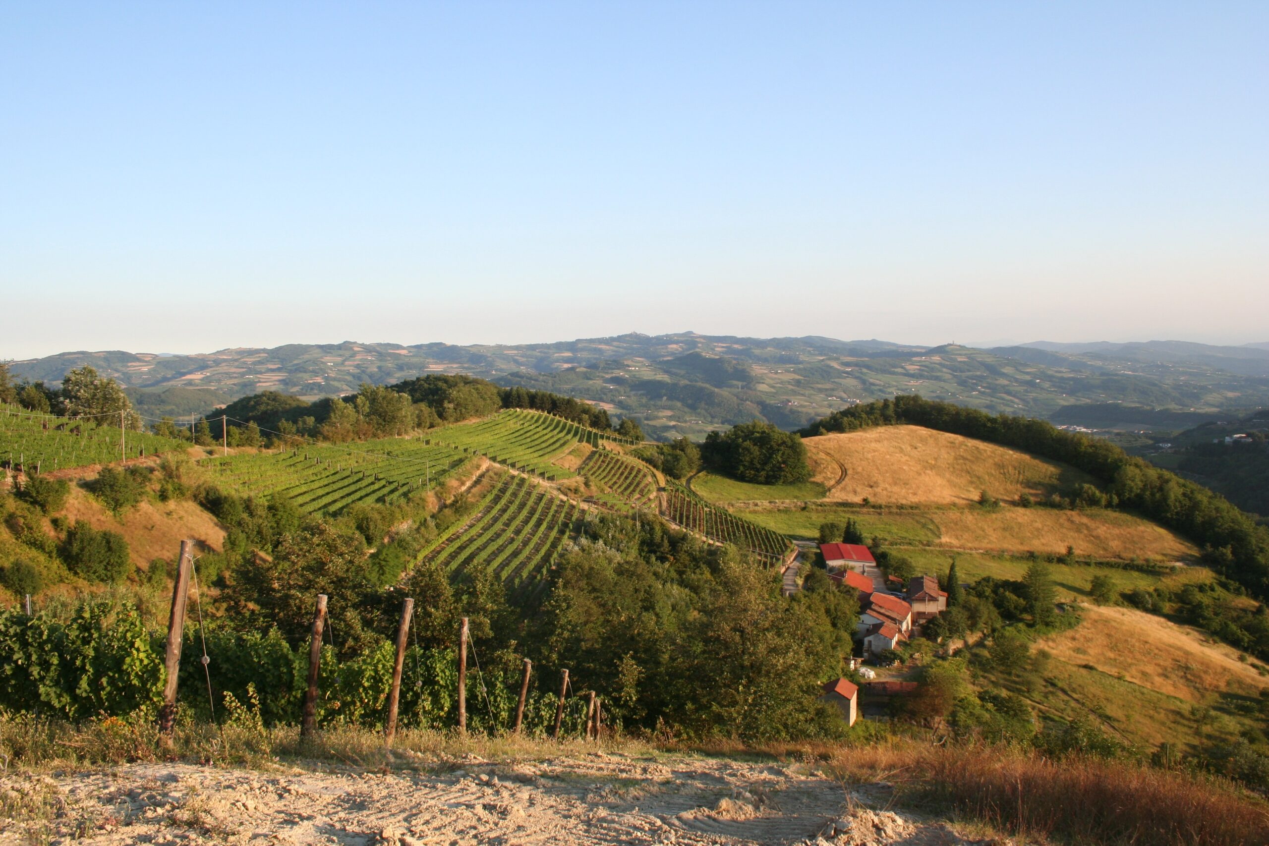 Isolabella della Croce wijndomein wijngaarden heuveltop lente zomer