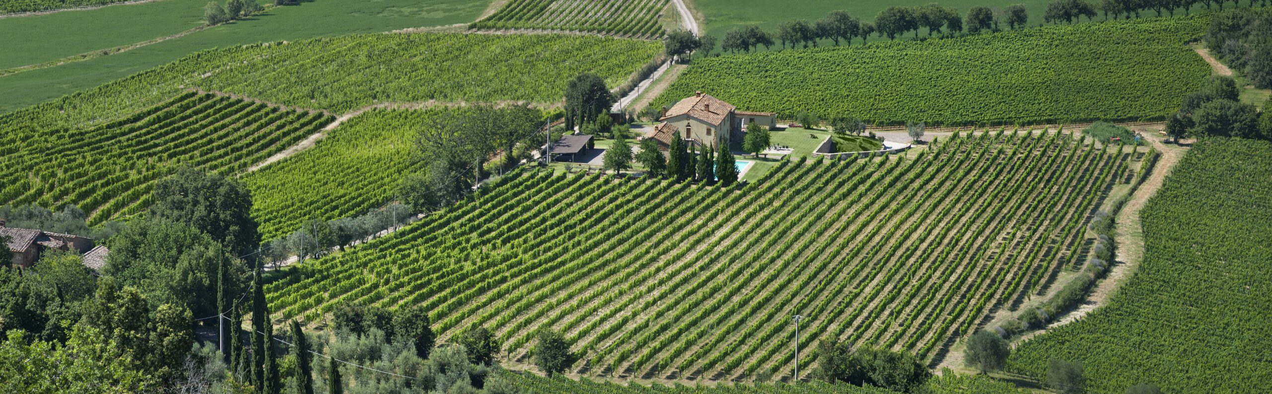 Le Chiuse wijndomein wijngaarden Rosso en Brunello di Montalcino